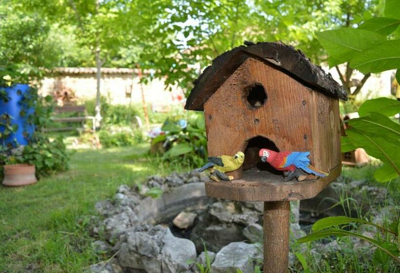 غرفة قياسية, The Old House Guest House