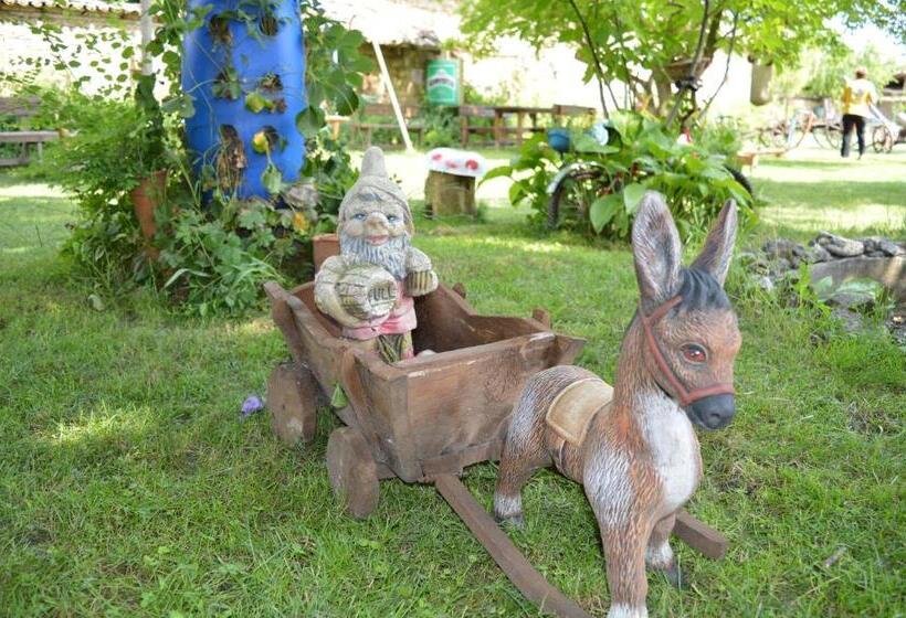 غرفة قياسية, The Old House Guest House