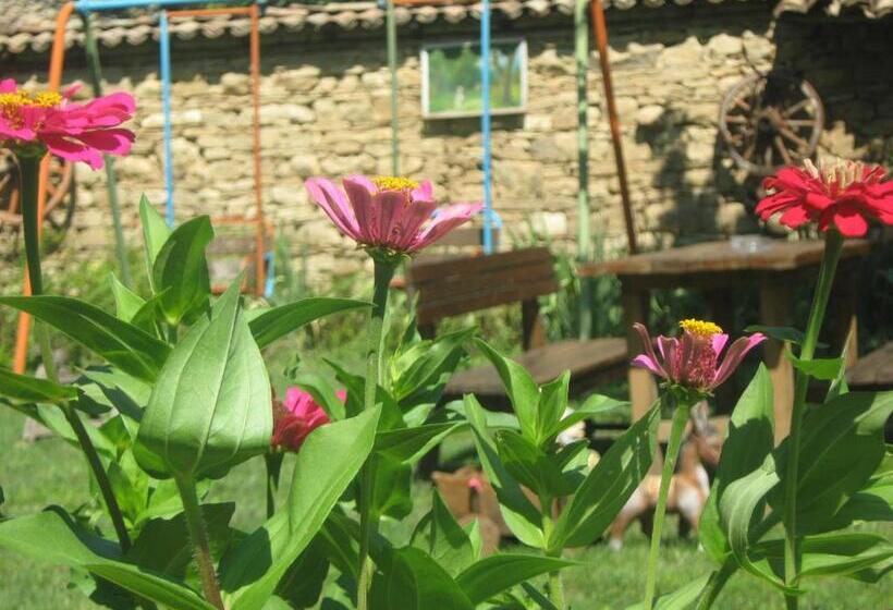 غرفة قياسية حمام مشترك, The Old House Guest House