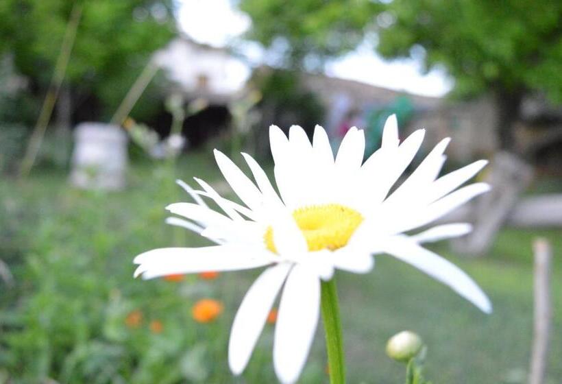 غرفة قياسية, The Old House Guest House