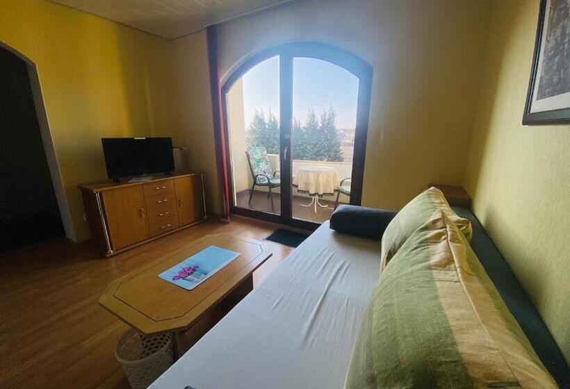 带1个卧室的公寓, Pension Schmitt