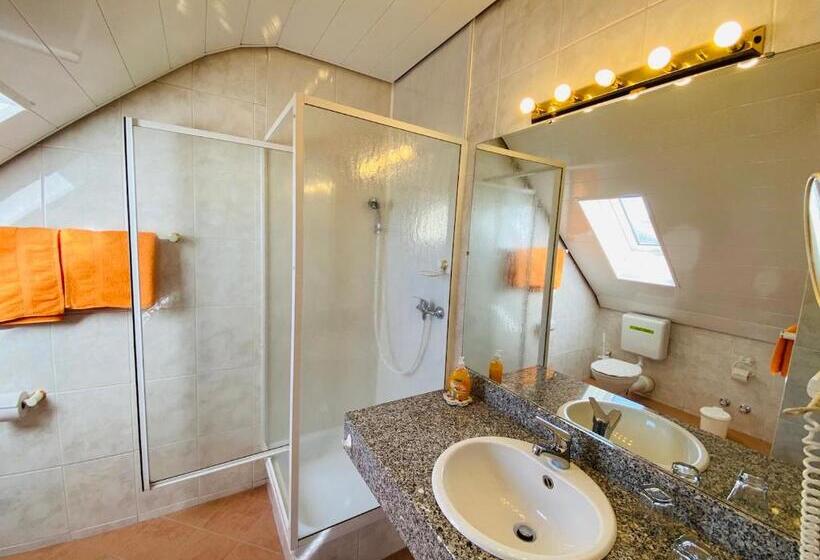 带1个卧室的公寓, Pension Schmitt