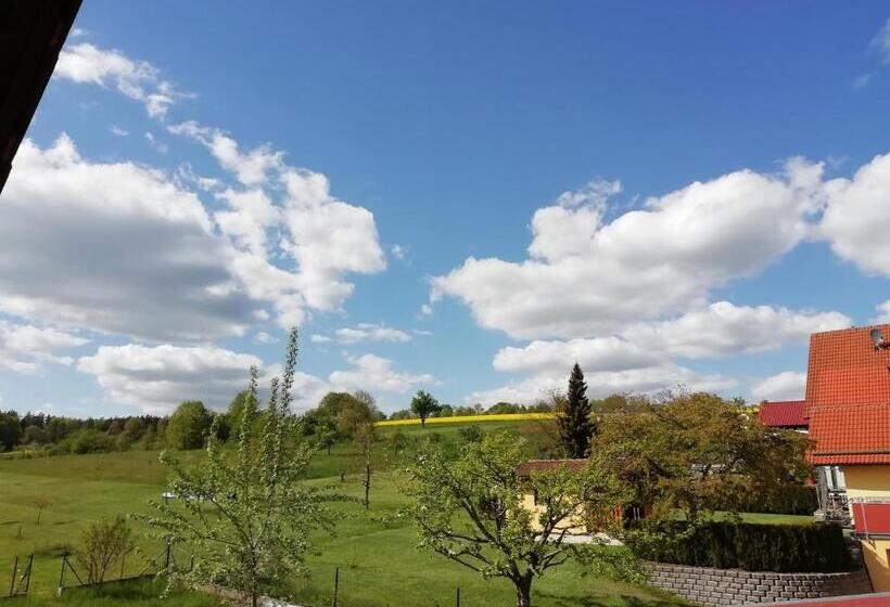 标准间, Pension Schmitt