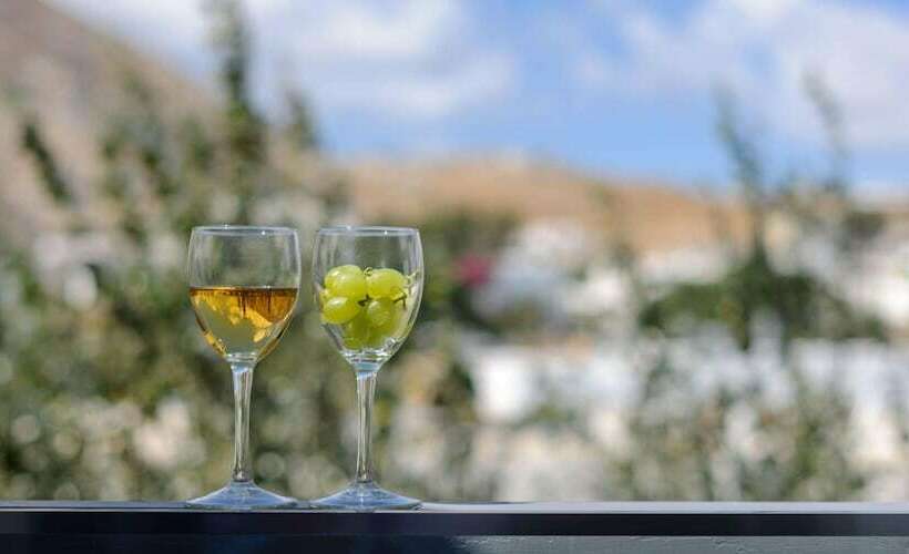 수피리어 룸, Afroditi Venus Beach Resort
