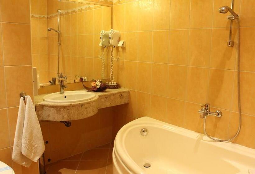 스탠다드 룸, Business Hotel Premier