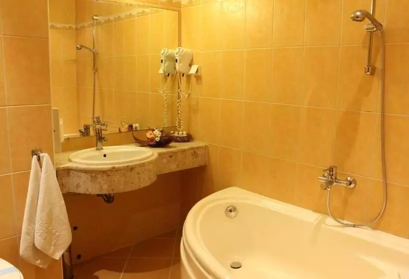 اتاق استاندارد, Business Hotel Premier