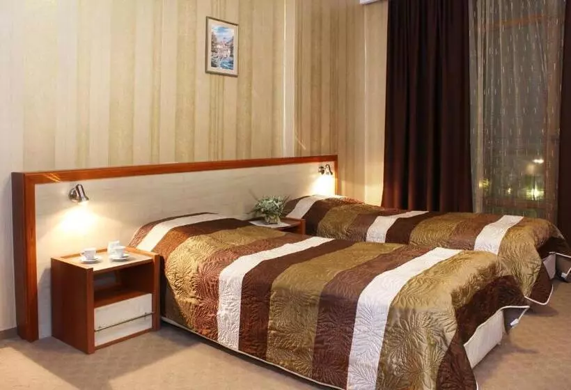 اتاق استاندارد, Business Hotel Premier