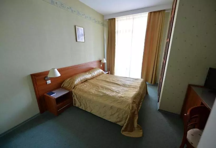 اتاق استاندارد یک نفره, Business Hotel Premier