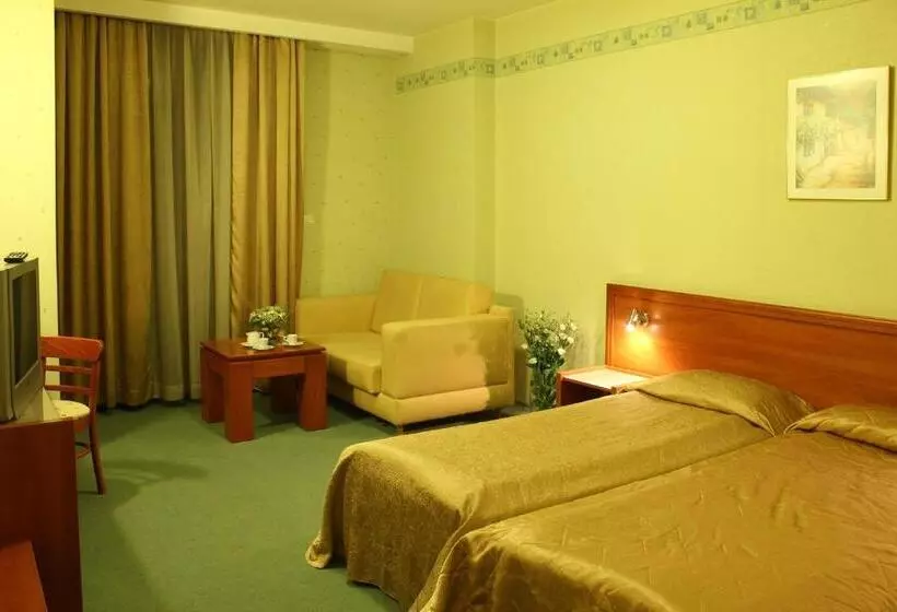 اتاق استاندارد یک نفره, Business Hotel Premier