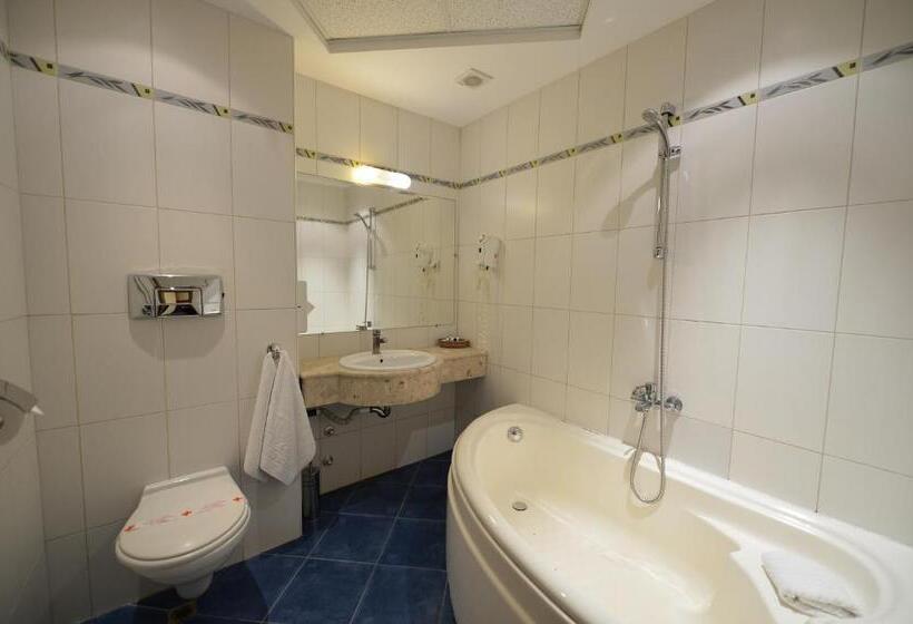 스탠다드 싱글 룸, Business Hotel Premier