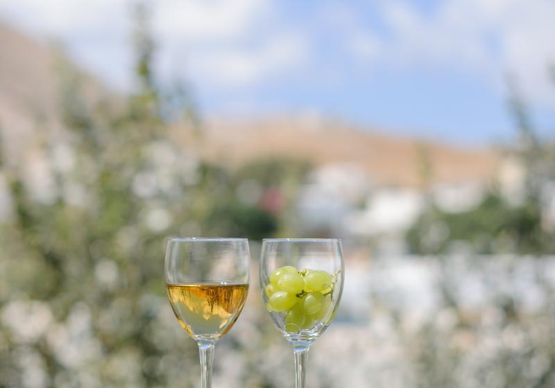 غرفة سوبيريور, Afroditi Venus Beach Resort