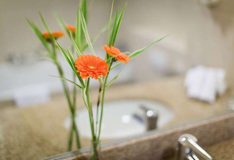 اتاق لوکس, Courtyard By Marriott Brussels