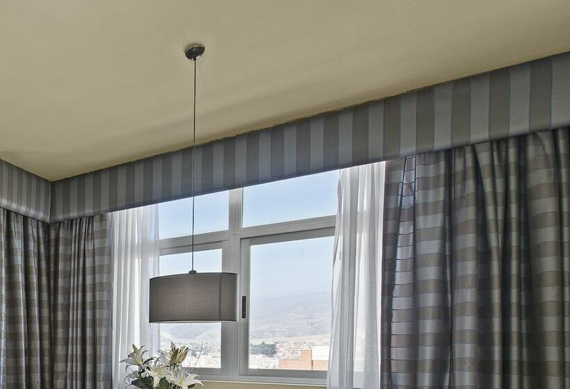 غرفة تنفيذية, Elba Almeria Business & Convention