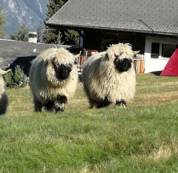 חדר אקונומי, Restaurant Fleschboden