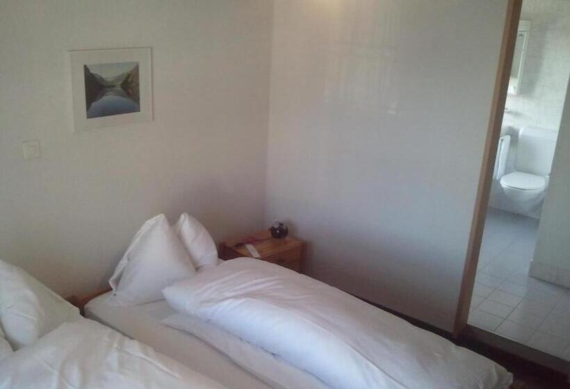 חדר סטנדרט, Restaurant Sternen