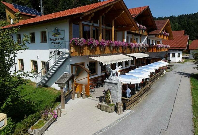 Номер Стандарт, Berggasthof Pension Seminar Und Tagungshaus Menauer