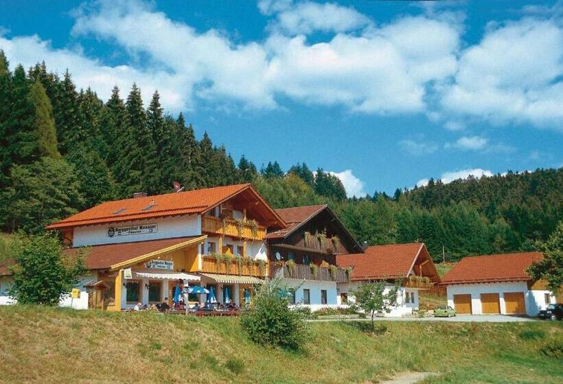 Номер Стандарт, Berggasthof Pension Seminar  Und Tagungshaus Menauer