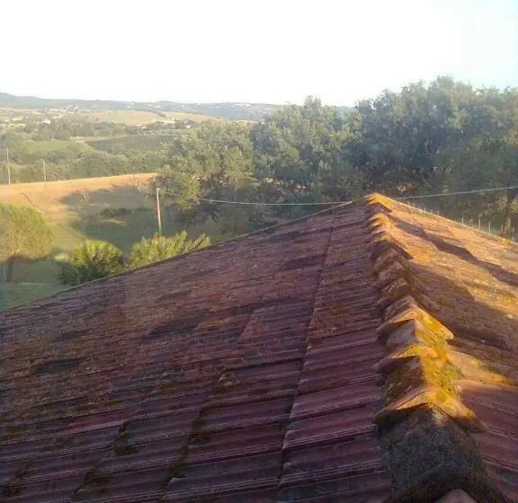テラス付き1ベッドルームアパートメント, Agriturismo La Carletta