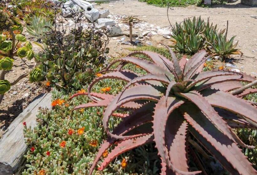 منزل غرفة نوم واحدة, Beach Cottage Kleinzee