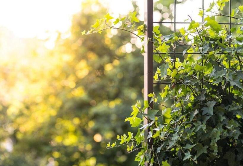 סוויטה עם מרפסת, Hôtel La Croix Blanche