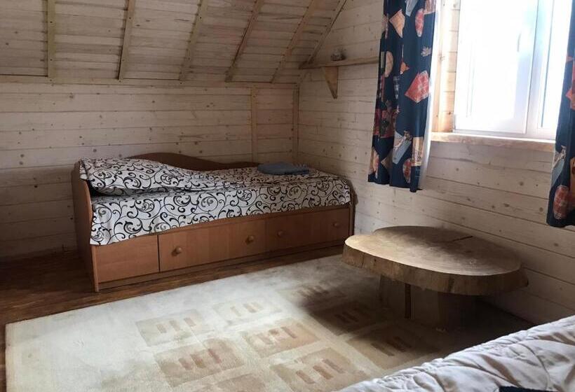 خانه 1 خوابه, Kostel House