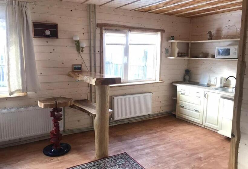 خانه 1 خوابه, Kostel House