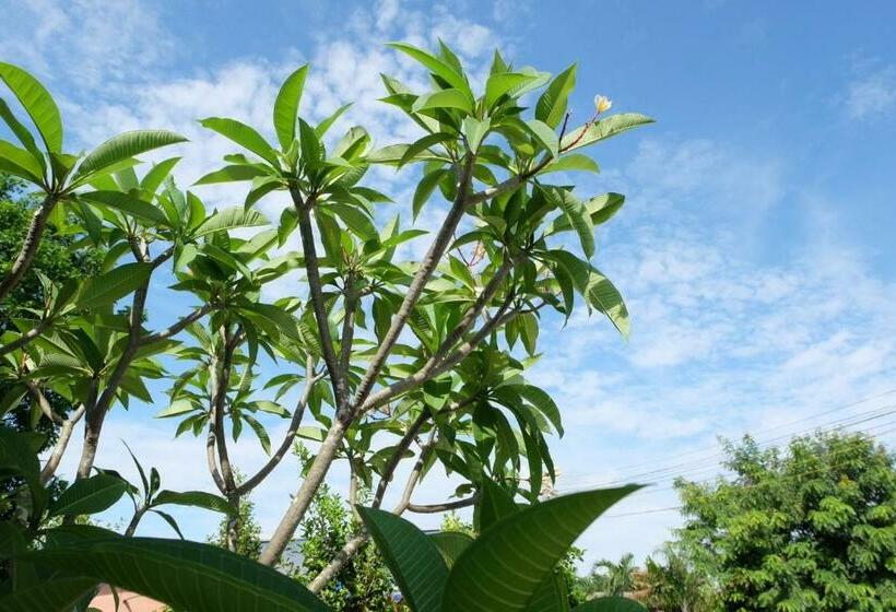 Habitació Estàndard Llit King, Me2 Singhamuntra Resort Kamphaengsaen