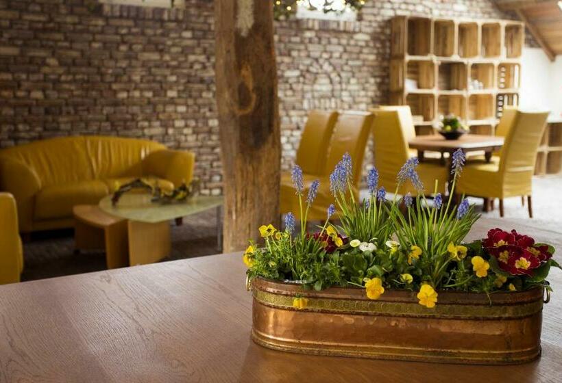 חדר סטנדרט, Vakantie Meerlo