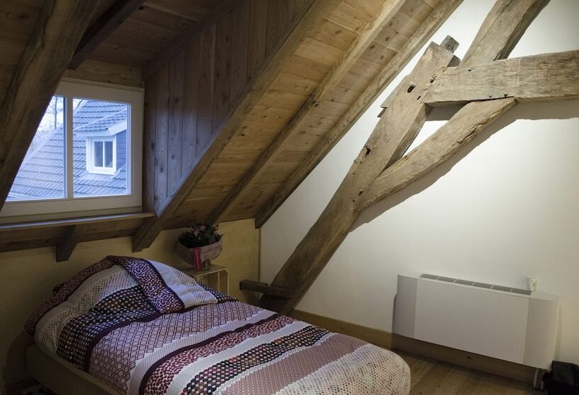 חדר סטנדרט יחיד, Vakantie Meerlo