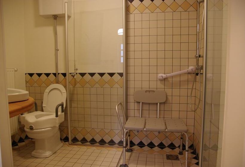 חדר סטנדרט מותאם לאדם עם מוגבלויות, Vakantie Meerlo