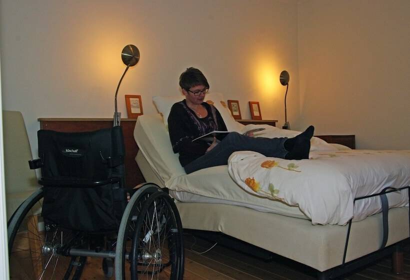 חדר סטנדרט מותאם לאדם עם מוגבלויות, Vakantie Meerlo