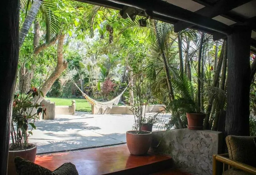 اتاق استاندارد, Casa Del Gringo