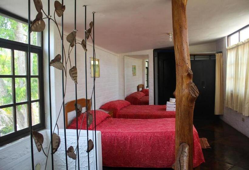 بنجلو عائلى, Casa Del Gringo