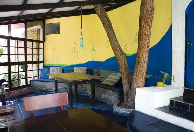 بنجلو عائلى, Casa Del Gringo