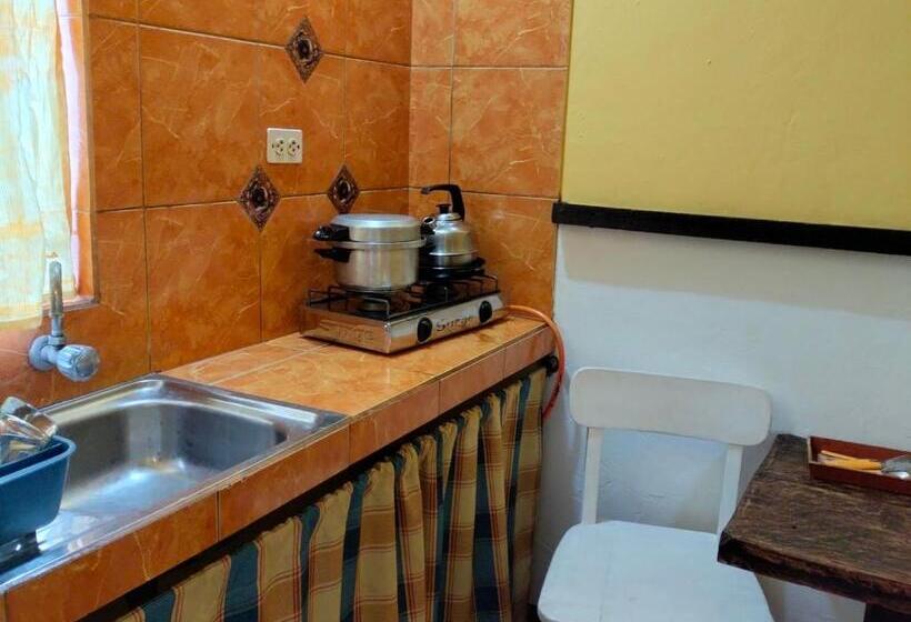 جناح, Casa Del Gringo