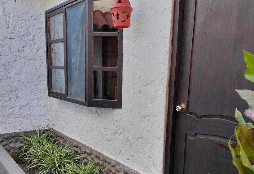 جناح, Casa Del Gringo