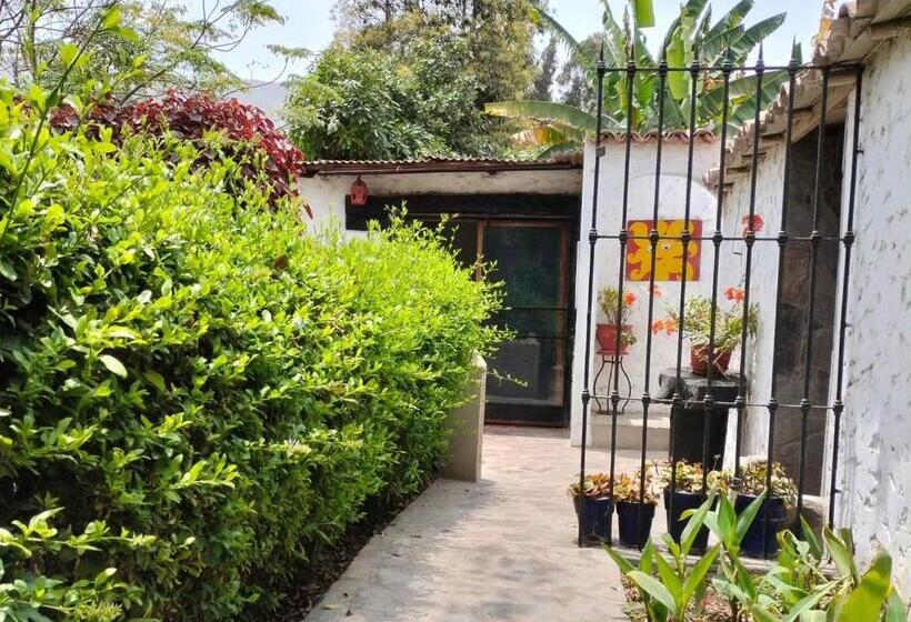 بنجلو قياسى, Casa Del Gringo