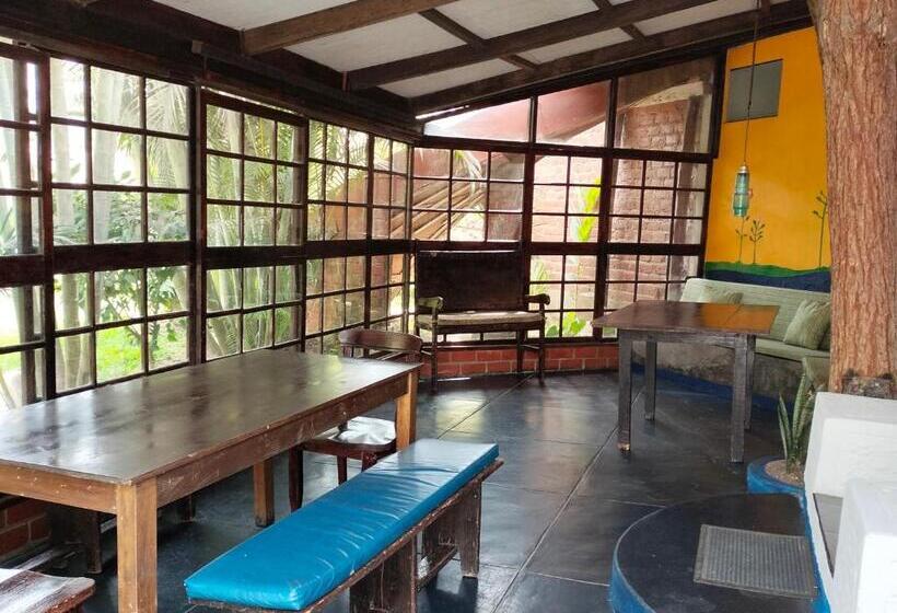 بنجلو عائلى, Casa Del Gringo