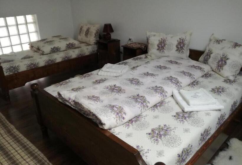 Трехместный Номер Комфорт, Casa Iancu