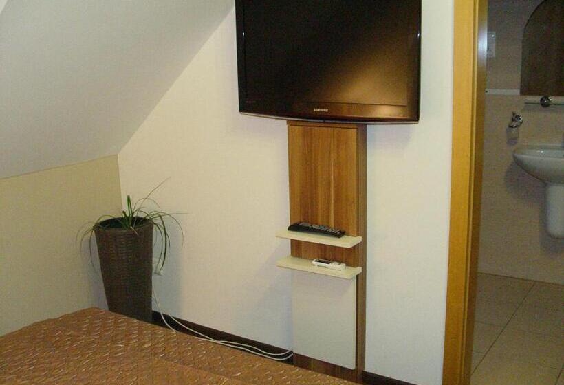 غرفة قياسية, Penzion Zlaty Orol