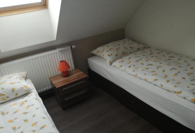 غرفة قياسية, Penzion Zlaty Orol