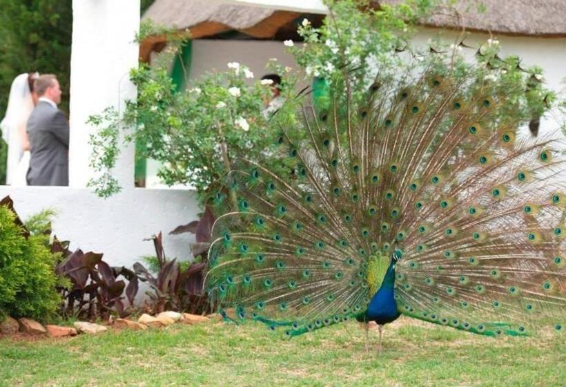 חדר סטנדרט נוף לבריכה, Warembo Lodge