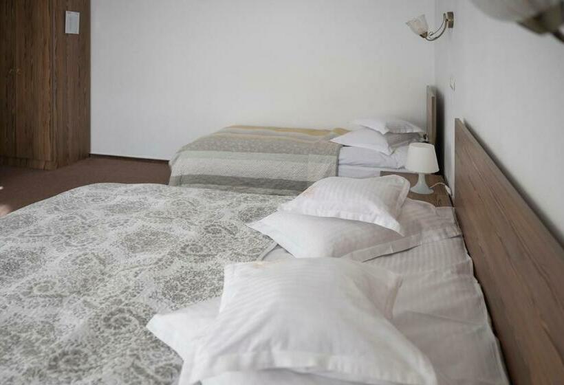 חדר סטנדרט לשלושה עם מרפסת, Pensiunea Andaluz