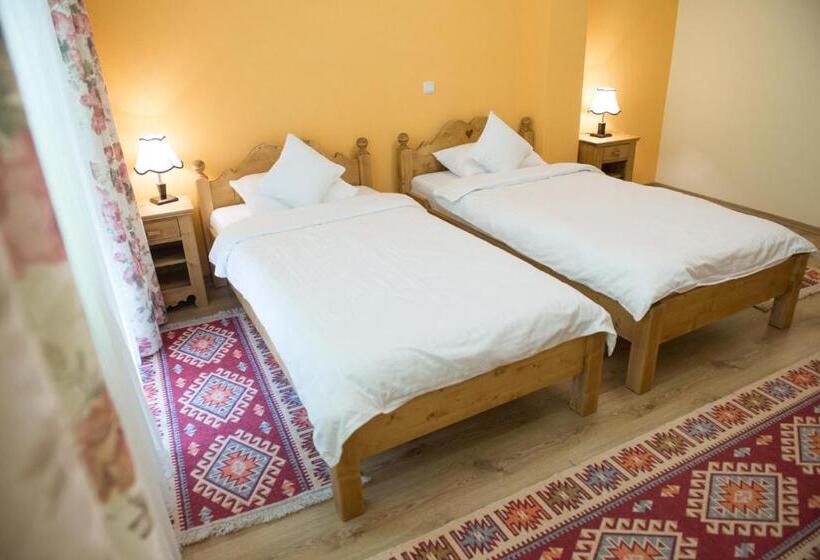 Номер Стандарт, Pensiunea Floare De Colt