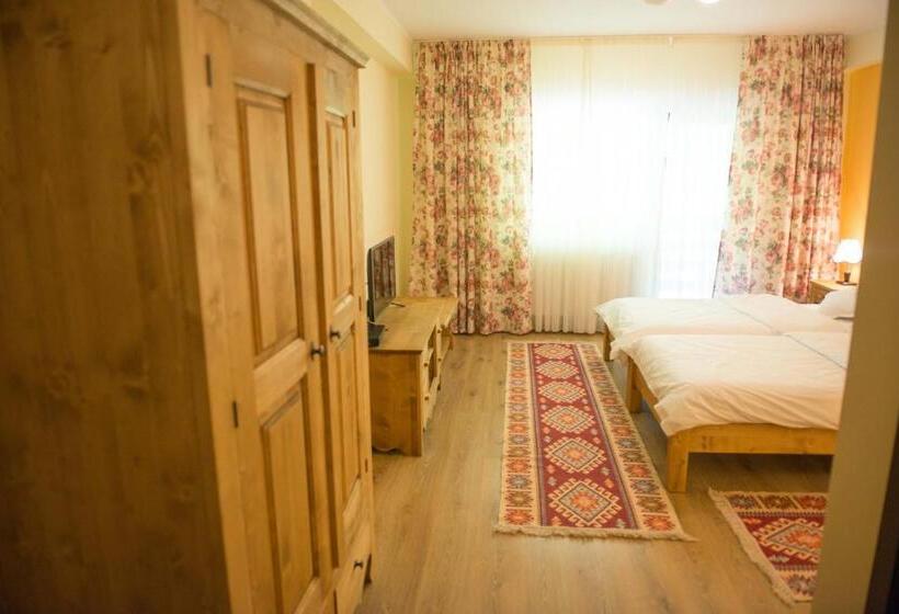 Номер Стандарт, Pensiunea Floare De Colt