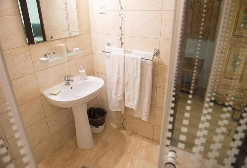 Номер Стандарт, Pensiunea Floare De Colt