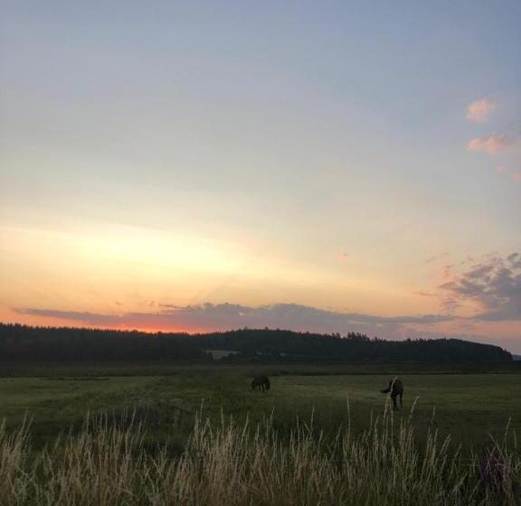 חדר סטנדרט, Runnvikens Pensionat