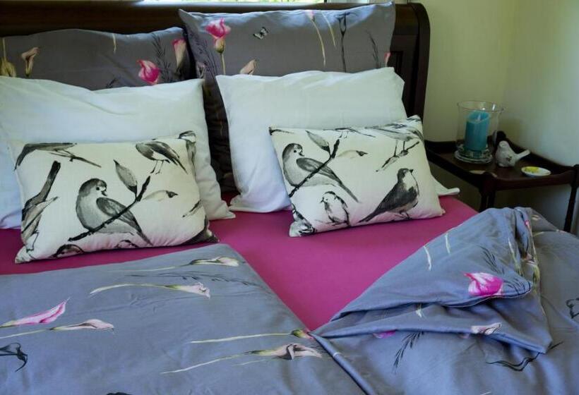 סוויטה דלוקס, The Empty Nest B & B