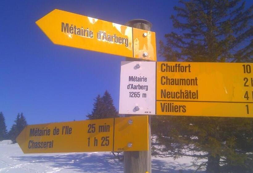 חדר סטנדרט, De Commune