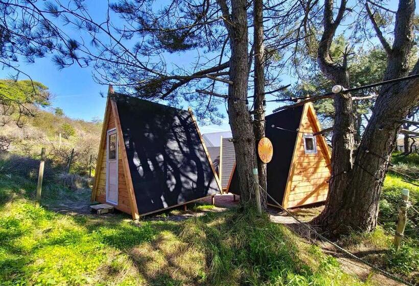 Standard Tent, Surfana Beach Bed & Breakfast Bloemendaal